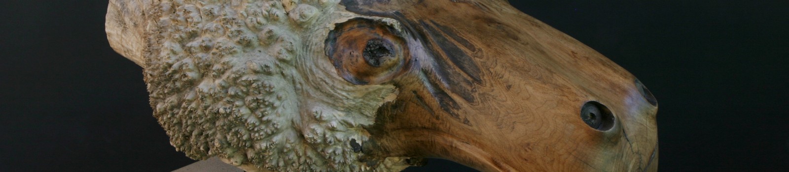 Another Fantastic Creature