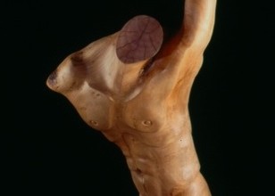 Southpaw - Thumbnail