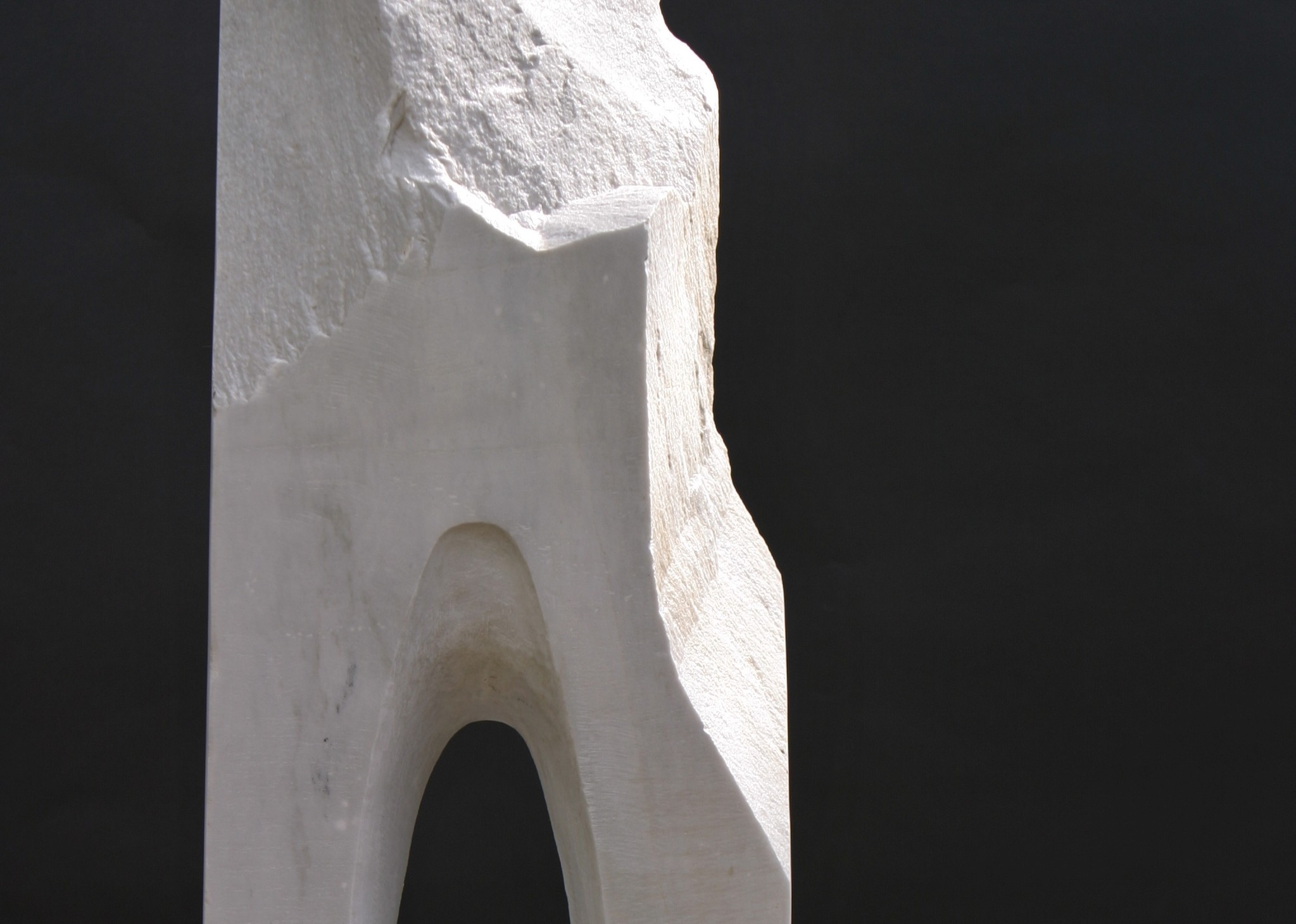 Torso Abstraction - Thumbnail