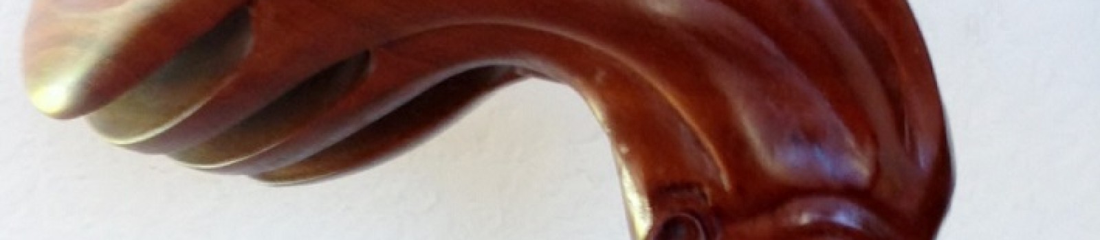 Santa Cruz - Thumbnail