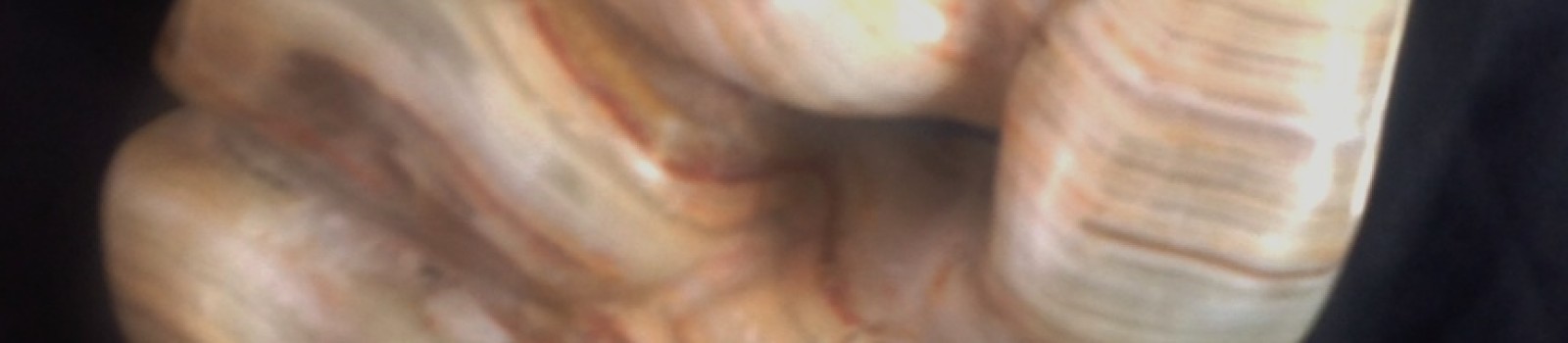 Foldamer - Thumbnail 2