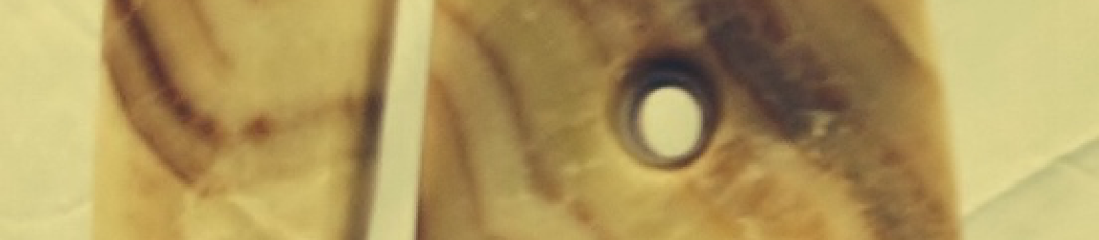 Favrile - Thumbnail 2